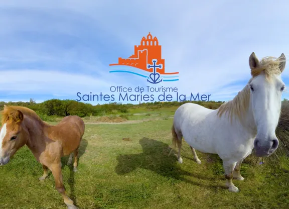 Les différents usages dans le tourisme des technologies immersives et de la VR